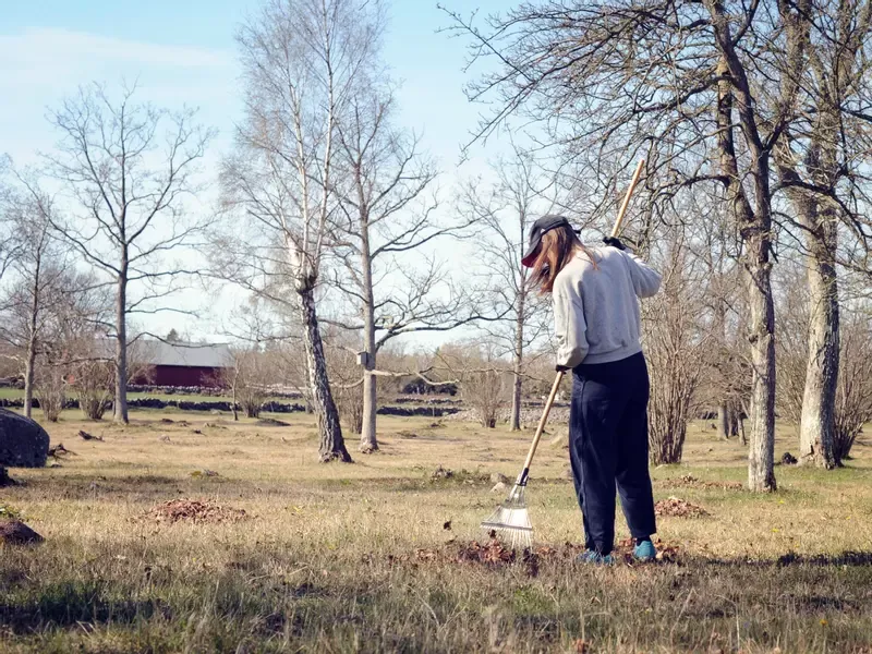 Kvinna som krattar och städar en trädgård på våren.
